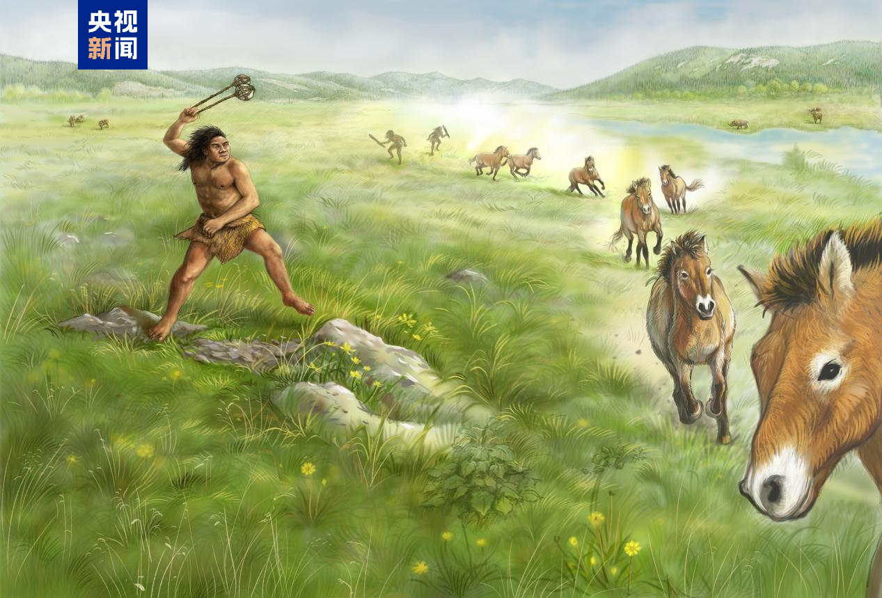 Reconstruction or analysis image related to the Xujiayao Denisovan study