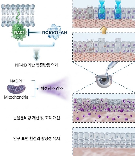 농식품부의 국산 동물의약품 글로벌 진출 전략 이미지