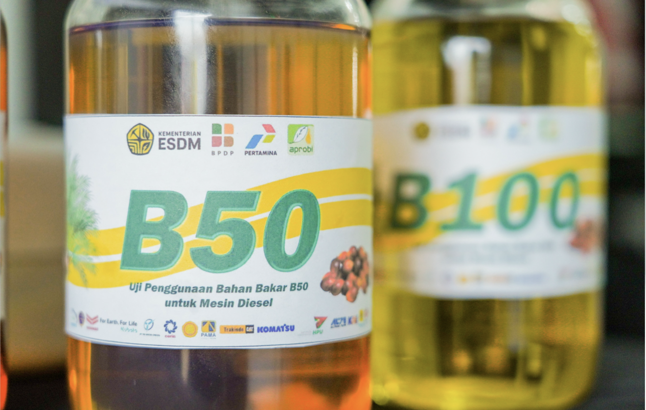 B50 Biodiesel Mandate and CPO Consumption