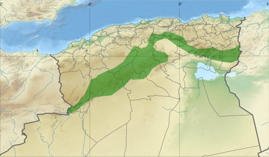 Reforestation efforts under Algeria's Green Dam program