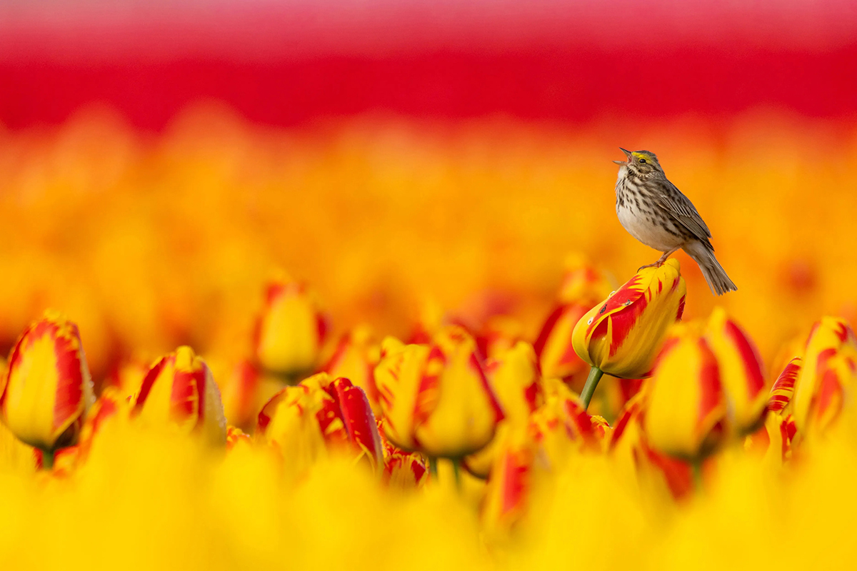 Best Photography Competitions