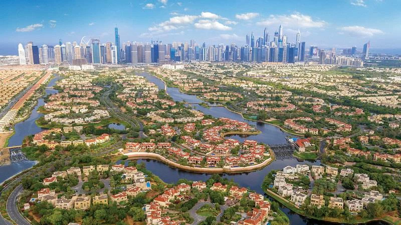 Survey participants showing confidence in Dubai real estate market