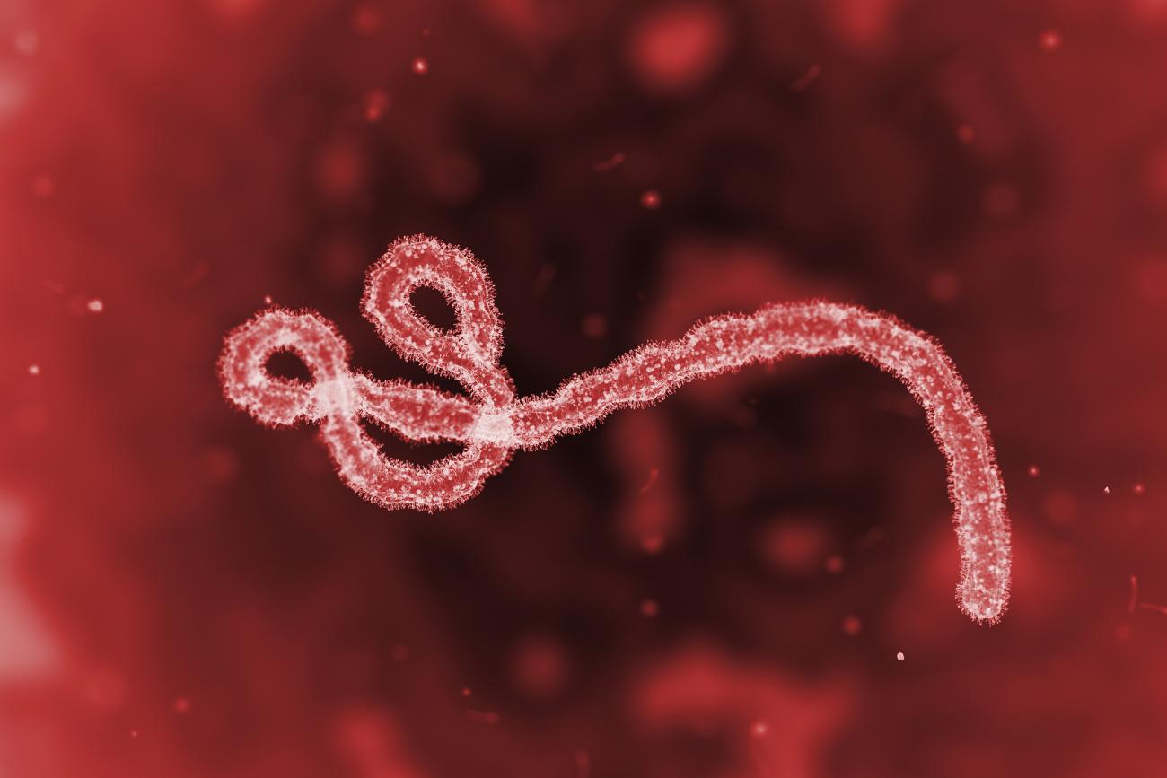Johns Hopkins Center for Health Security analysis of Ebola outbreak dynamics