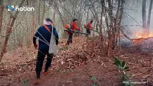 ไทยสั่งปิดป่าเสี่ยงทั่วประเทศเพื่อสกัดไฟป่า