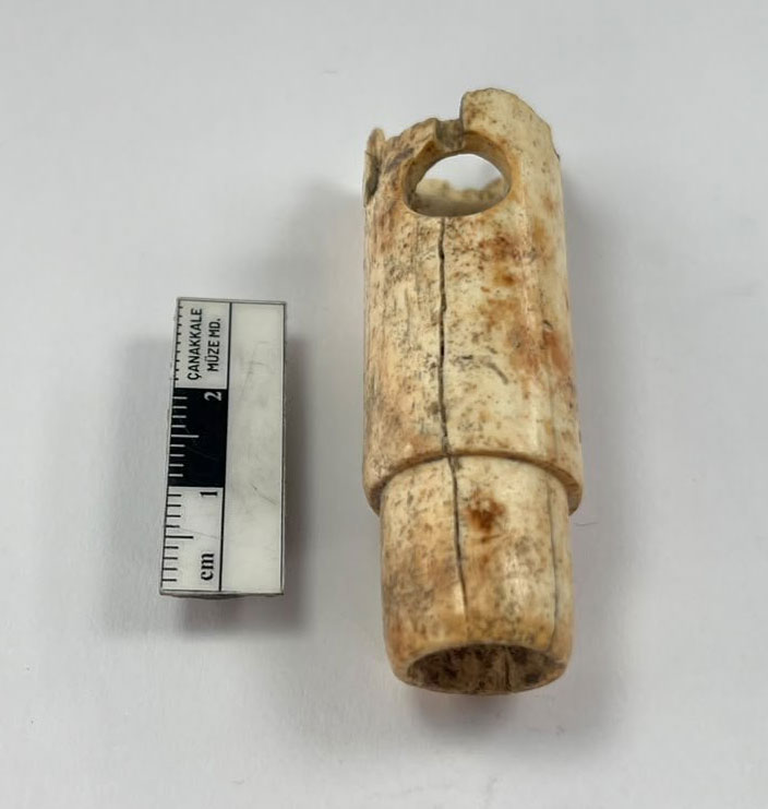 Bone flute discovered at Troy