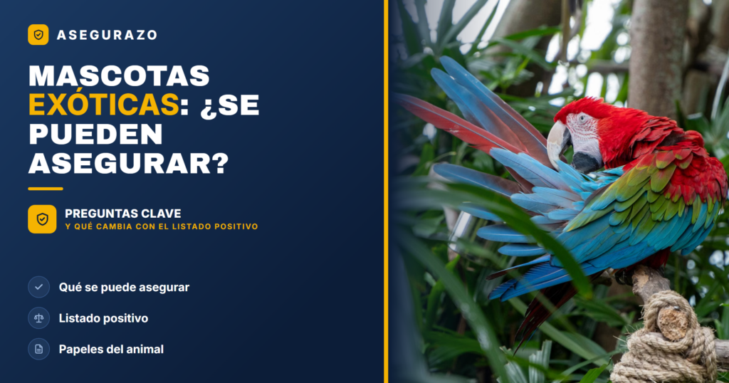 Spain's new positive list regulations on exotic pets affect insurance and legal ownership