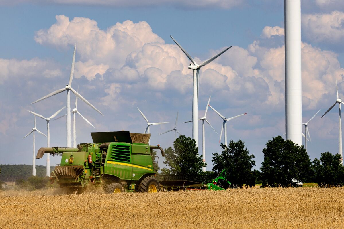 German power prices fall to lowest since June on strong wind