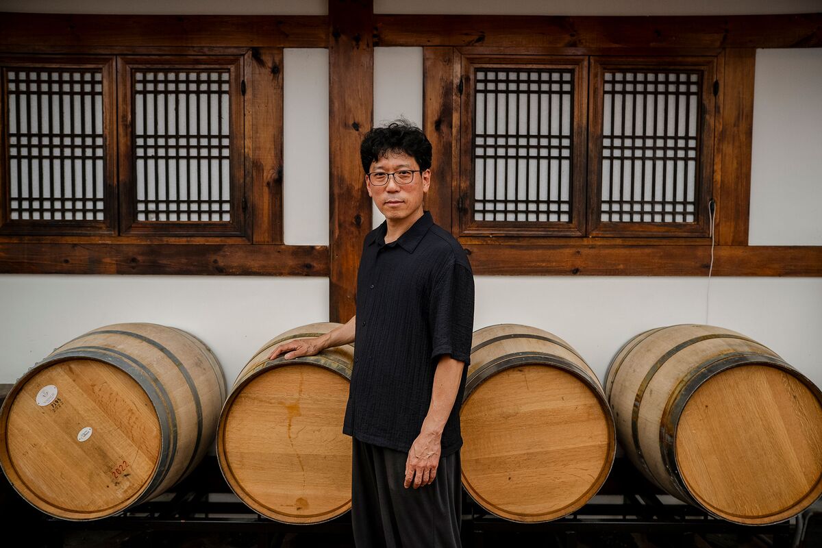 Bloomberg feature image showing makgeolli being poured
