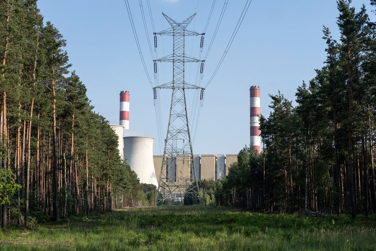 EU carbon permits chart showing rise to late January highs