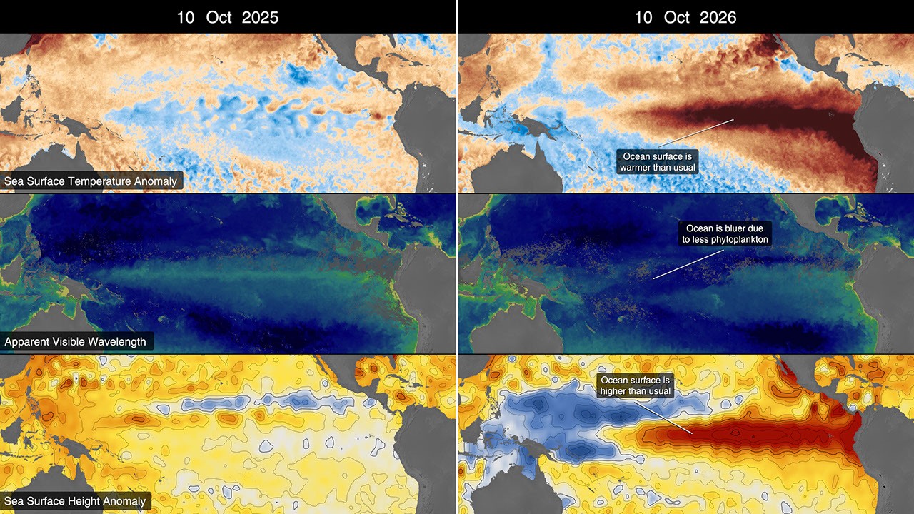 NASA El Niño data visualization