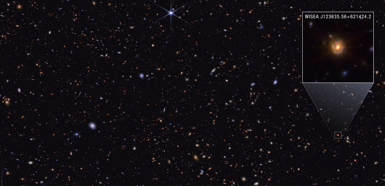 James Webb Space Telescope observations of distant galaxies