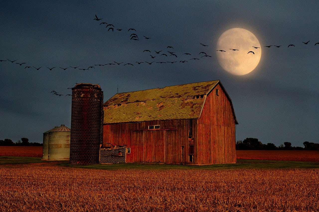 Image of the Harvest Moon rising over a landscape