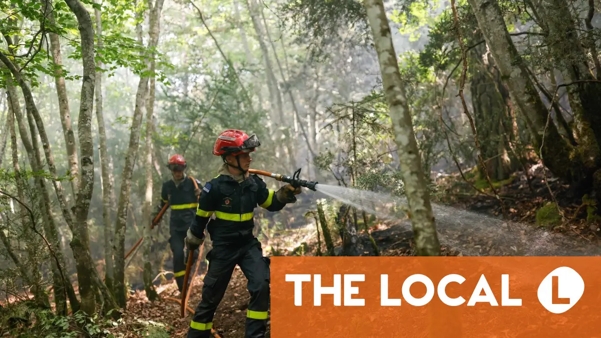 Wildfire emergency and situation in Spain