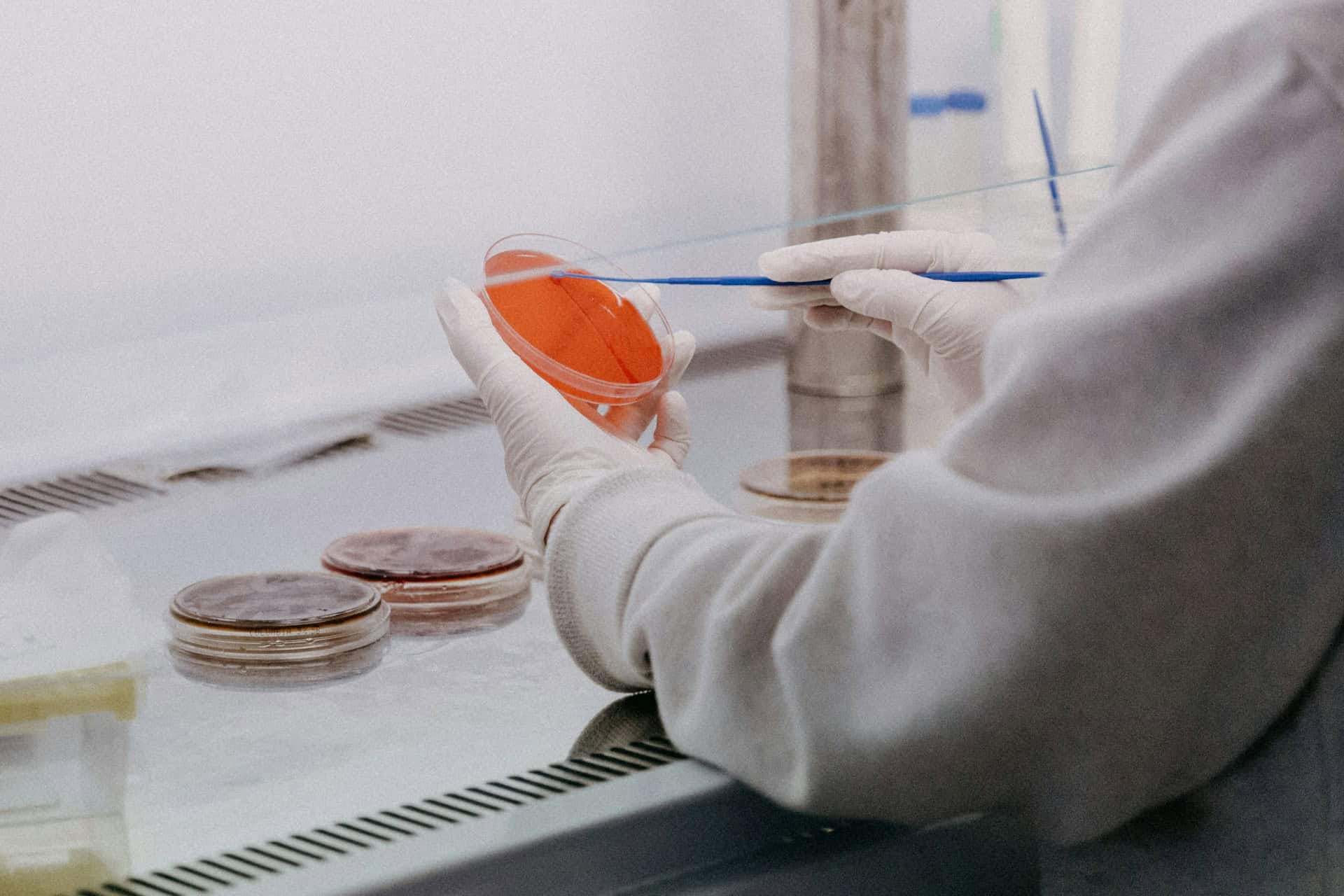 EFSA cultivated meat expertise