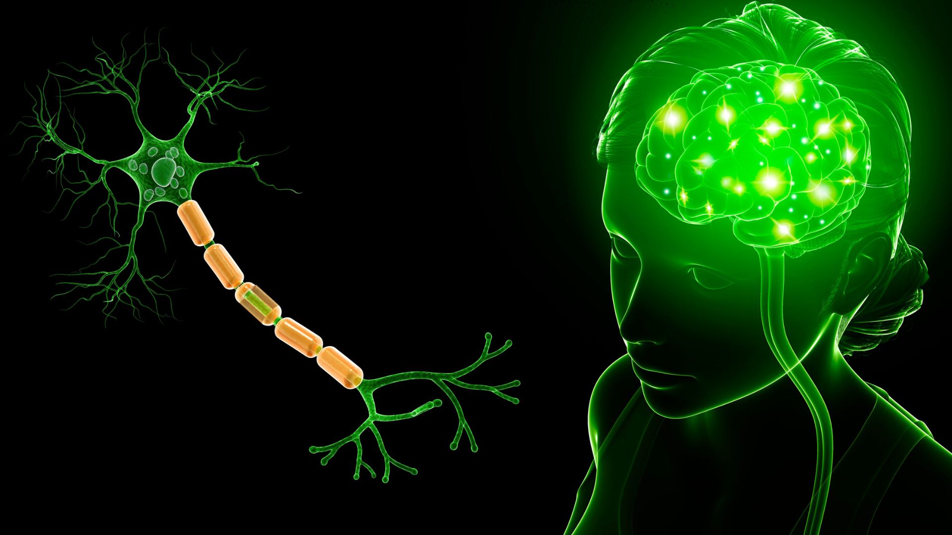 Conceptual image of the interaction between the brain-gut axis and environmental toxins