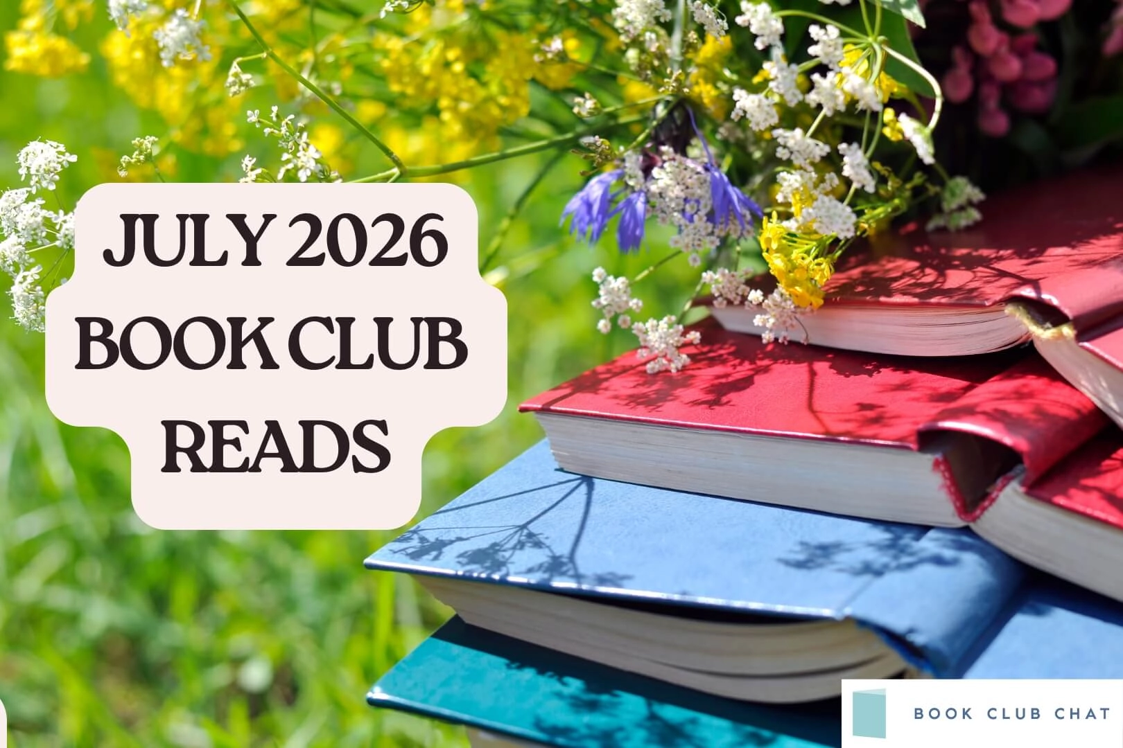 Book club discussion guide visual