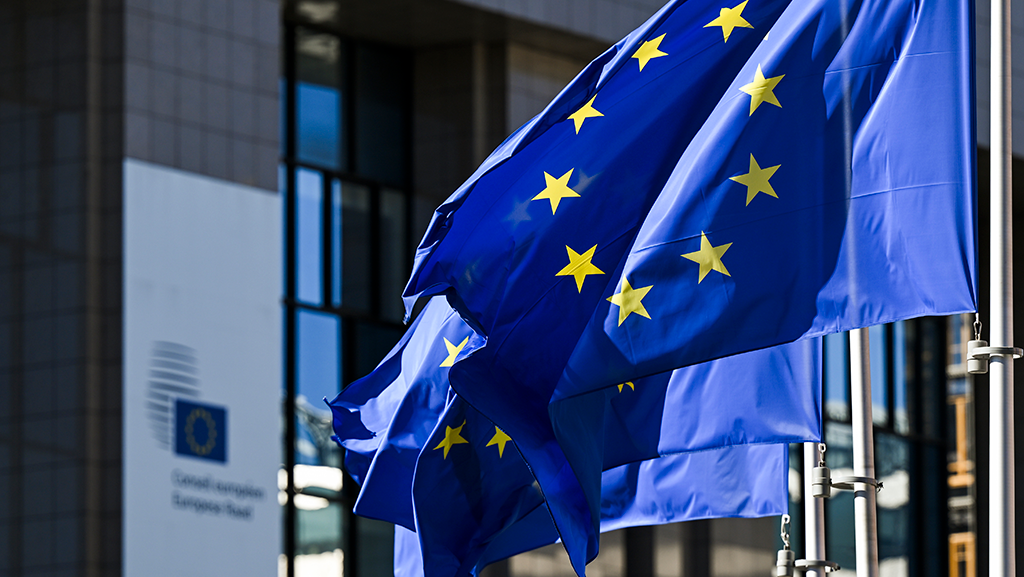EU flag image