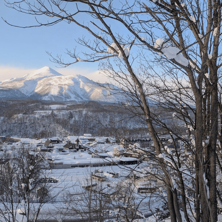 Niseko market review cover graphic from C9 Hotelworks