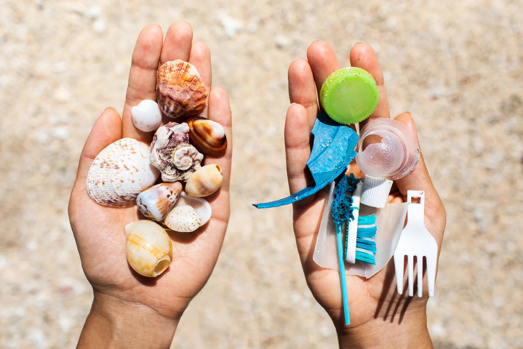 World Reef Awareness Day visual highlighting conservation urgency