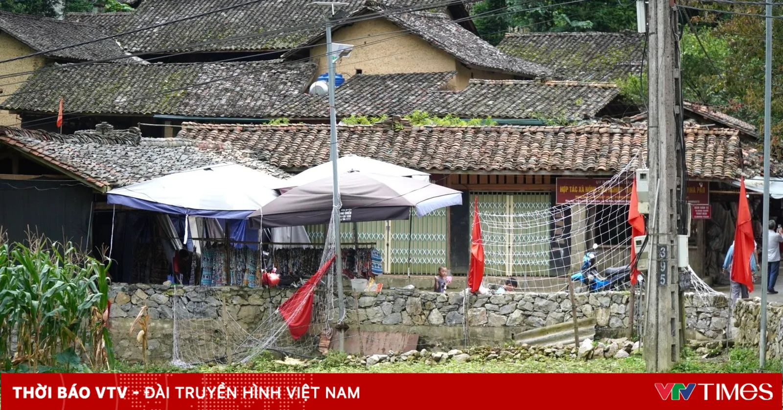 VTV coverage of Vietnamese cuisine