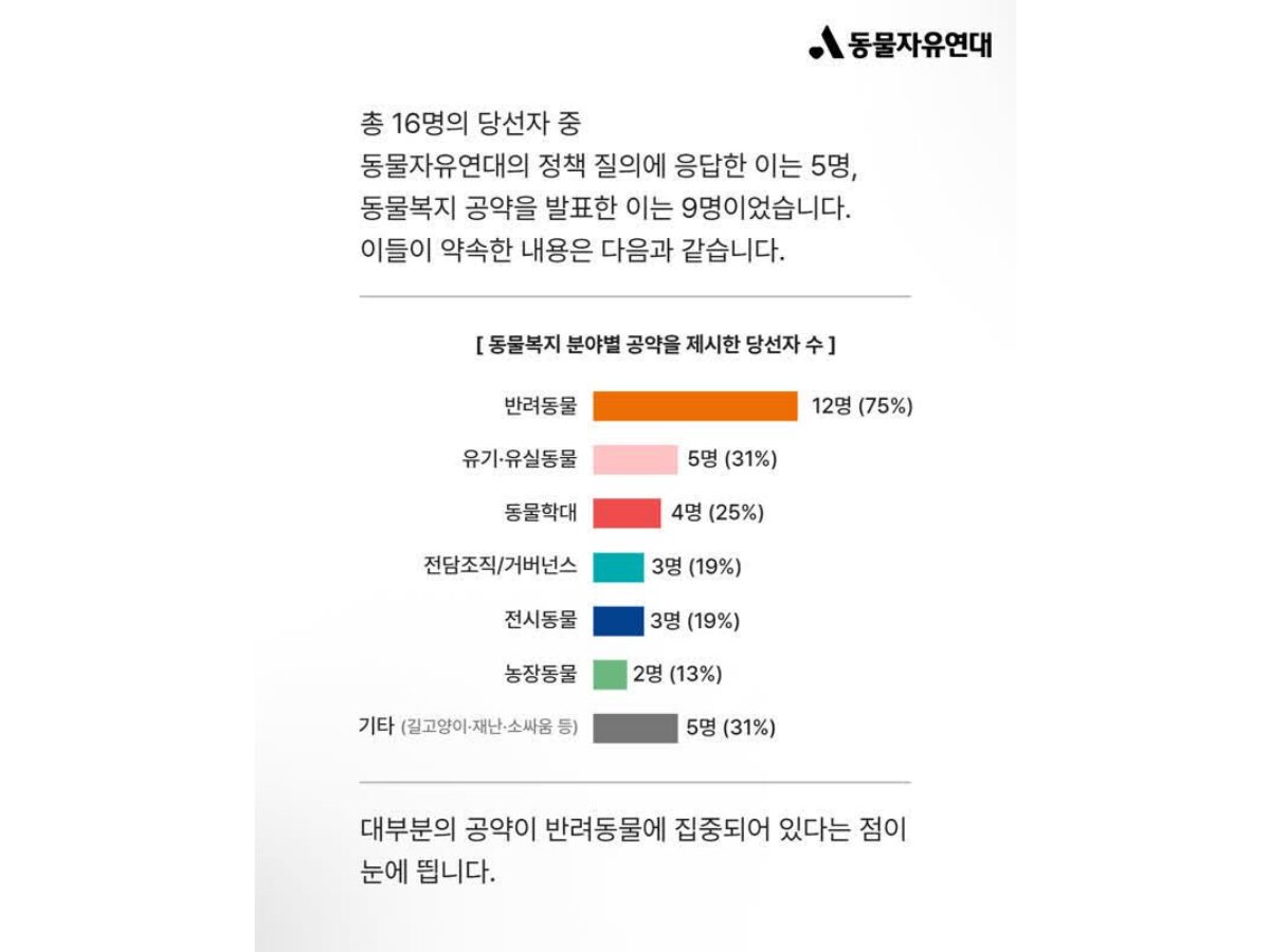 지방선거 동물복지 공약 현황