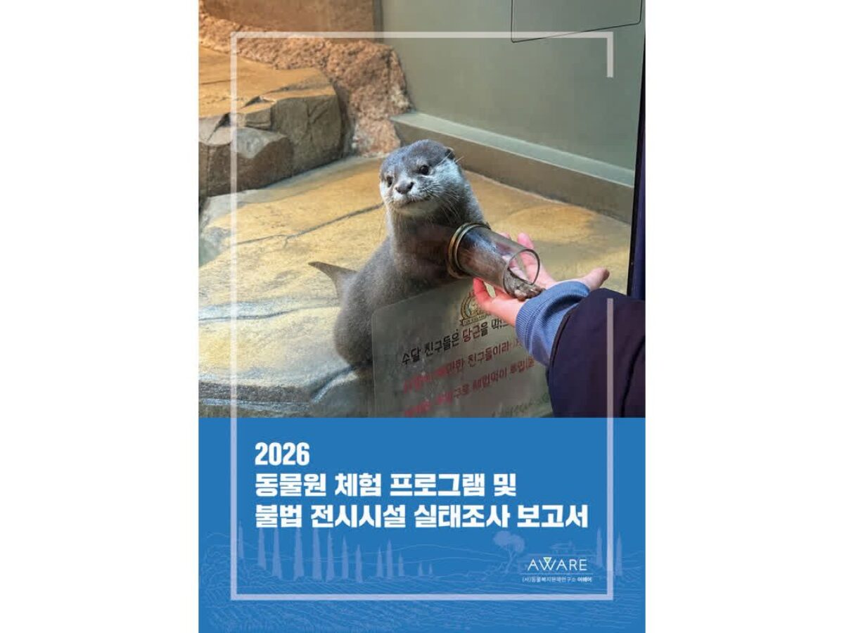 동물원 운영 실태 관련 이미지