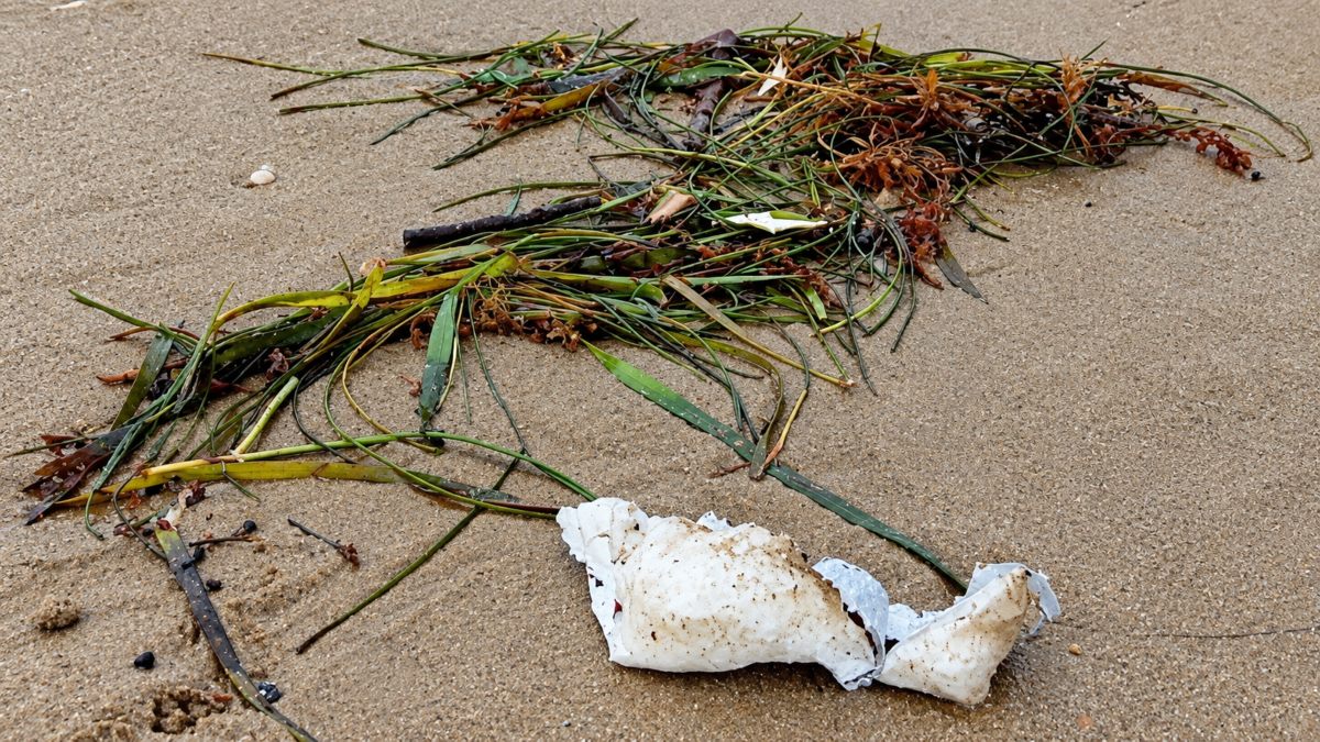 Conibio Global reporting debris