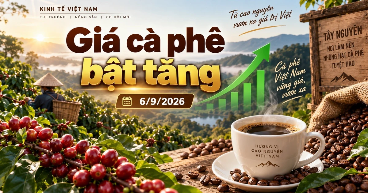 Price chart showing coffee price trends in Vietnam