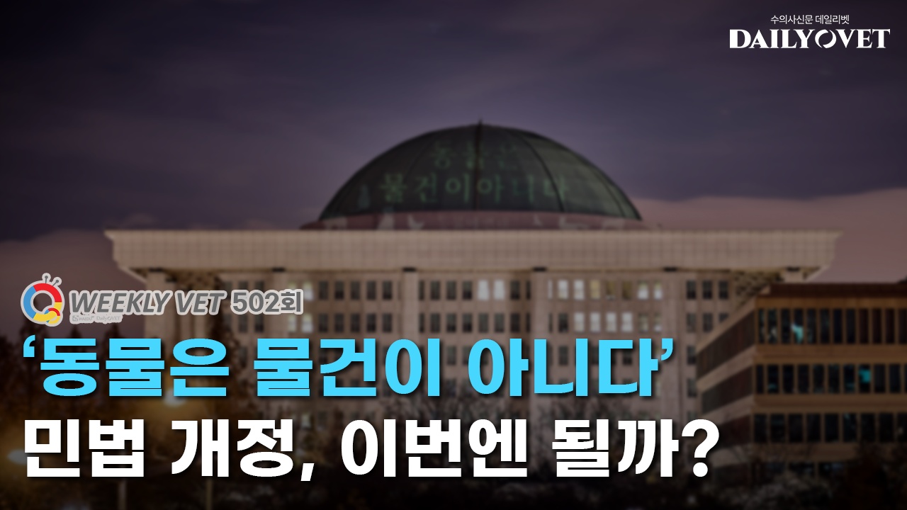 Weekly Vet 502 thumbnail