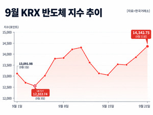 Korean semiconductor index rally