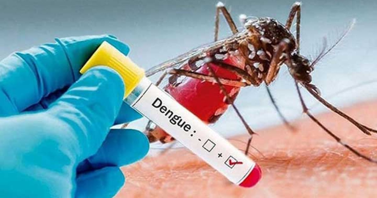 Dengue Hospitalization Milestone