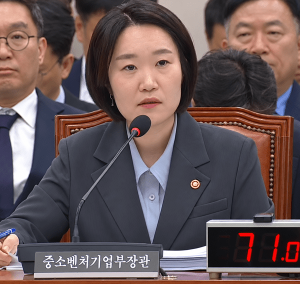 Parliamentary Audit Related Image