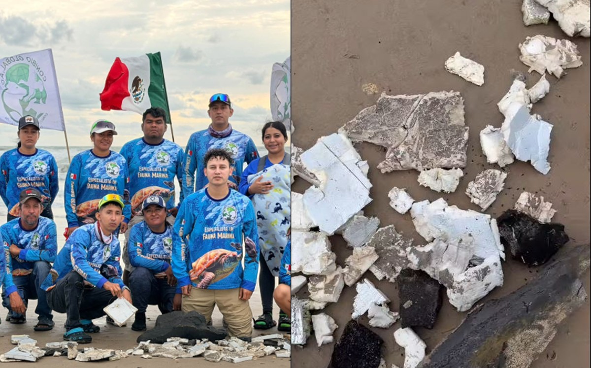 Debris fragments collected at Playa Bagdad