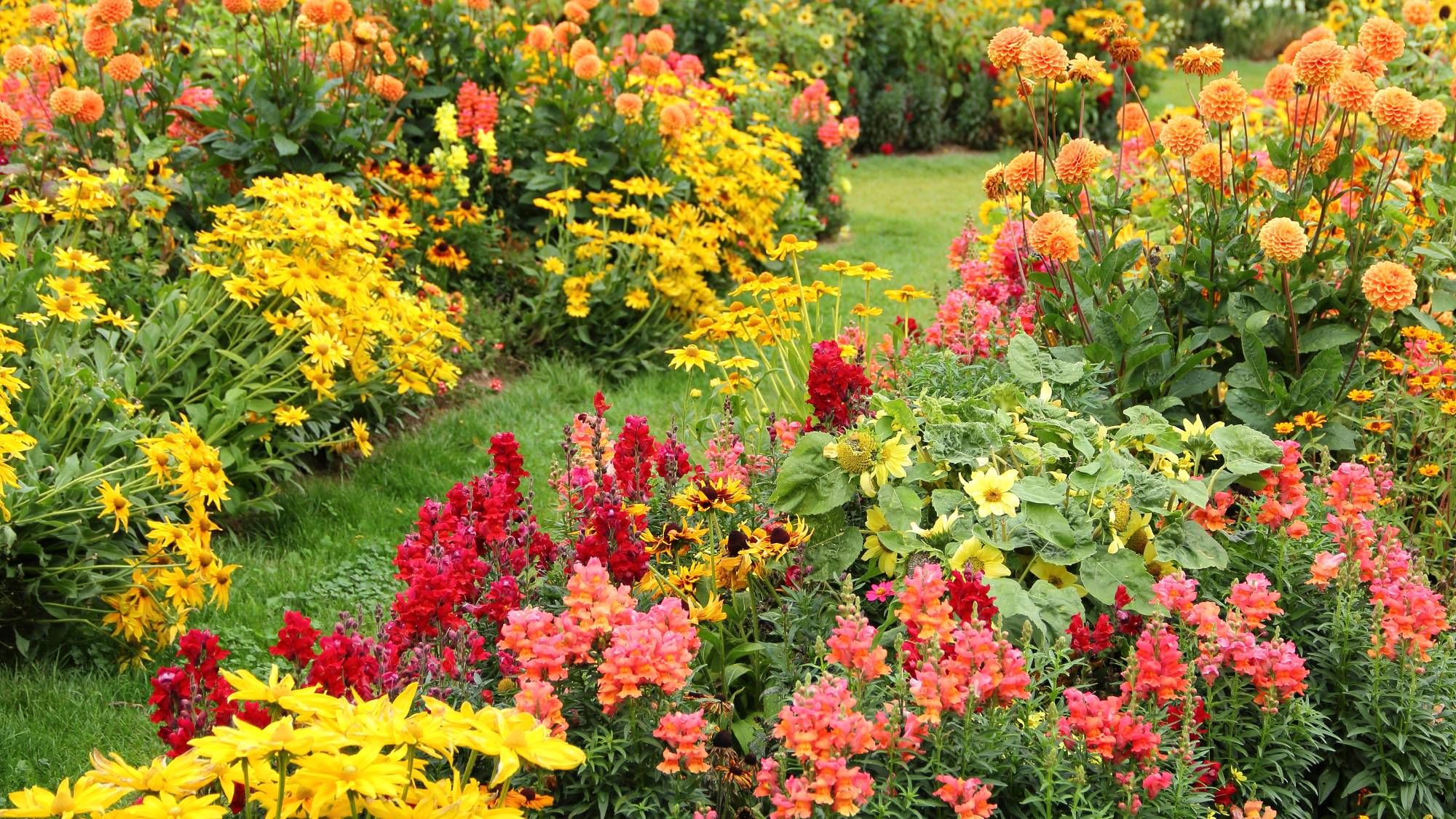 Gardening tips for late summer rule-breaking