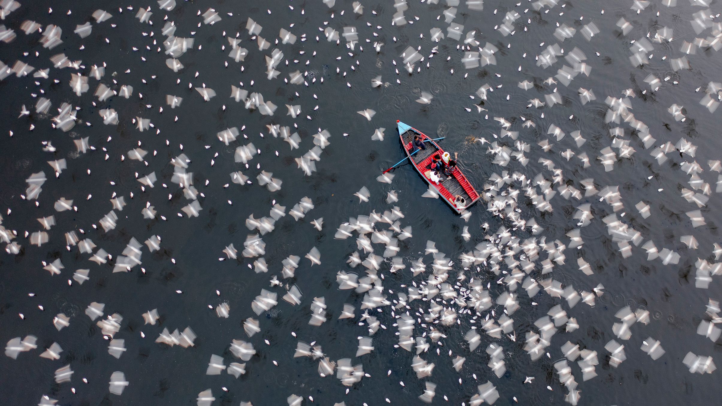 Drone photographer with 800+ international awards demonstrates professional aerial imaging standards