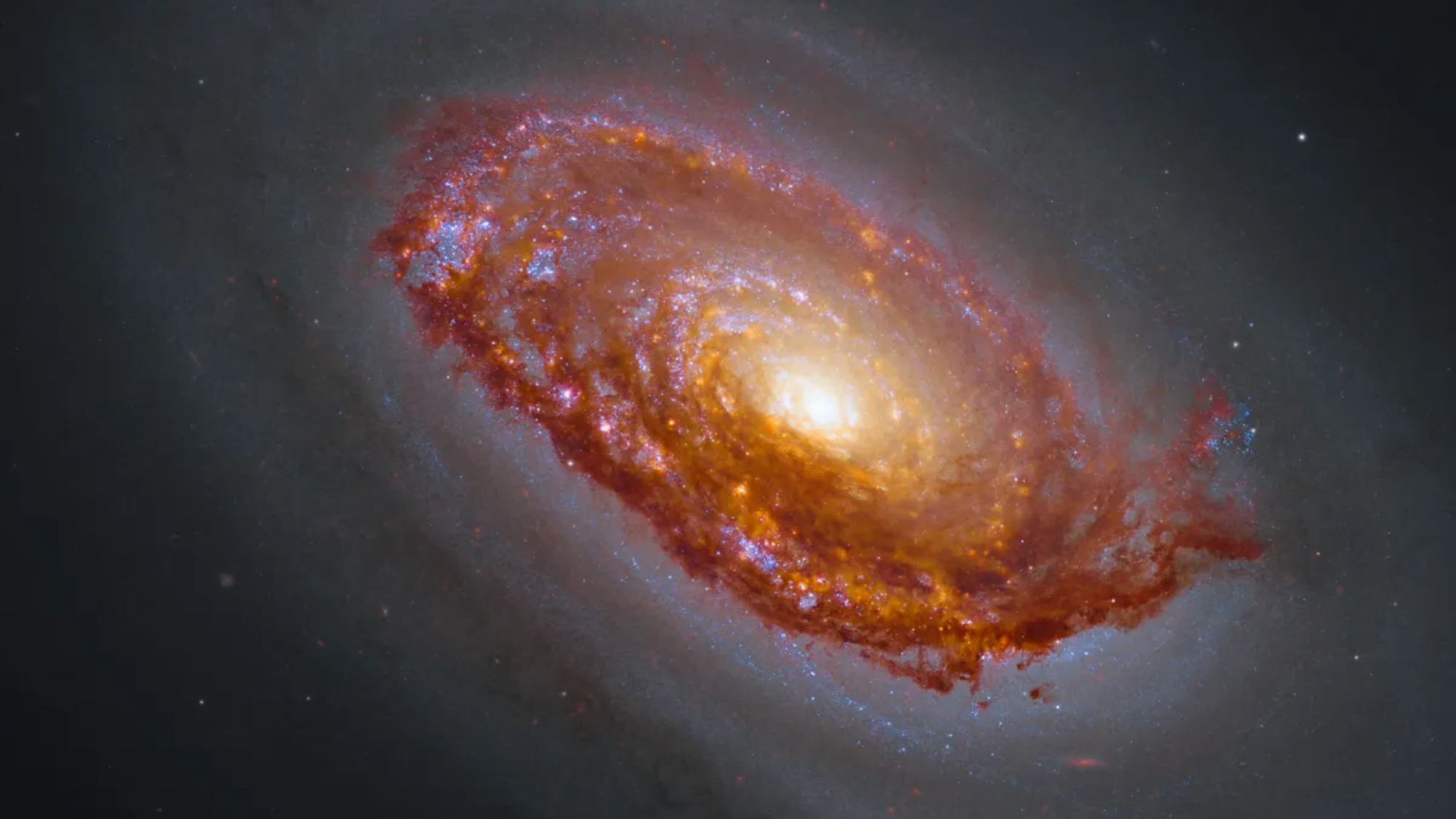 Hubble and James Webb Space Telescope image of the Black Eye Galaxy