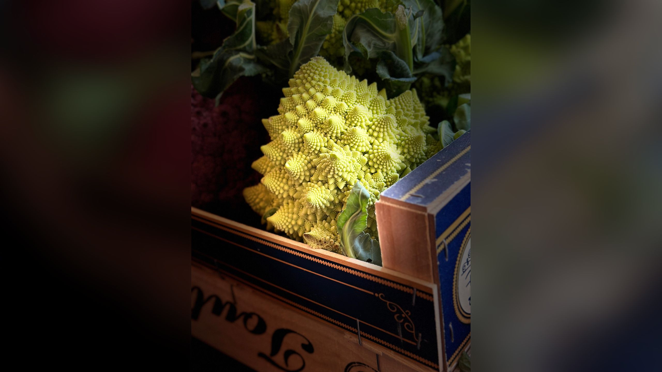 8-year-old smartphone food photography winner