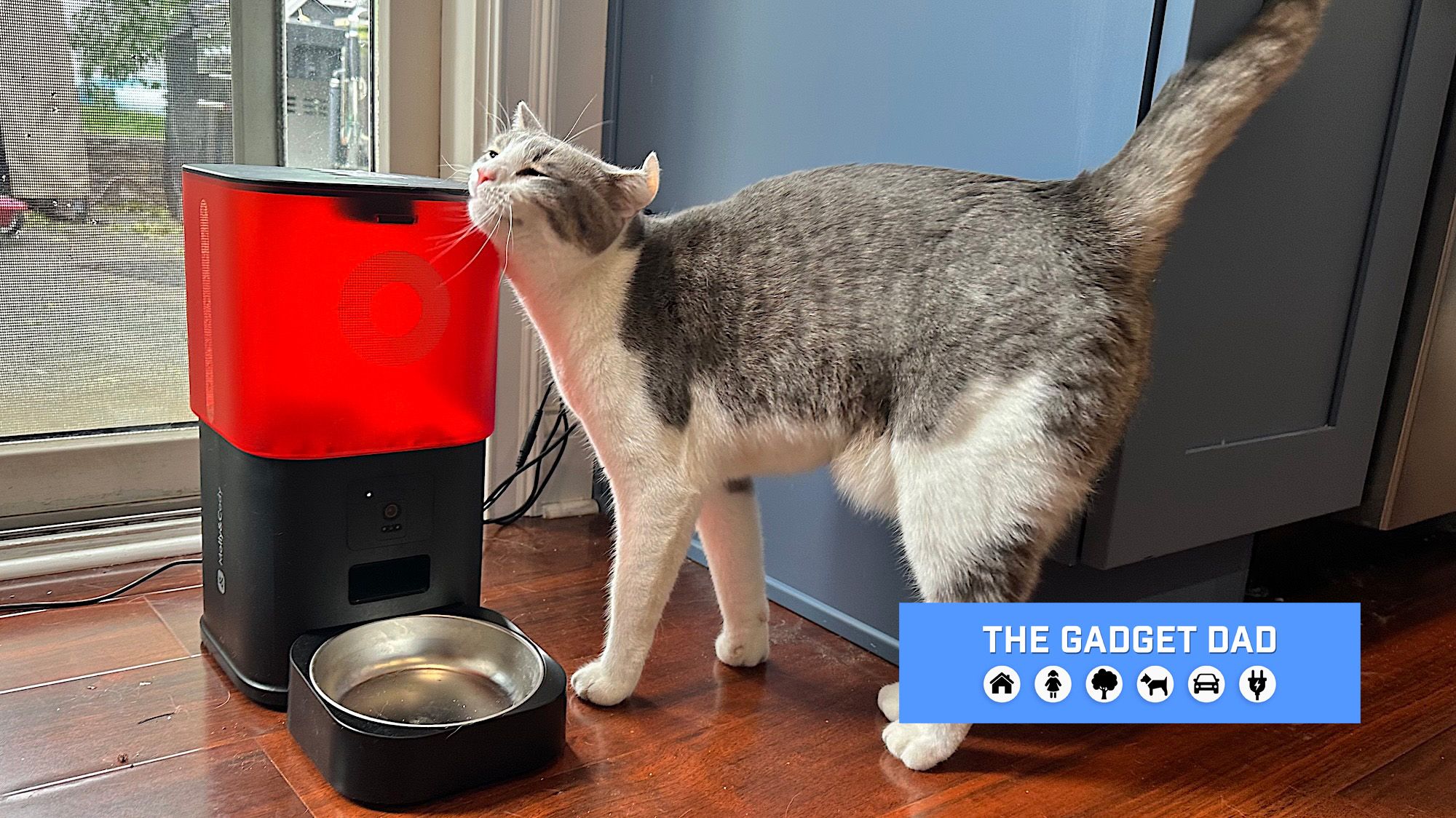 Tom's Guide testing two smart pet feeders with cats