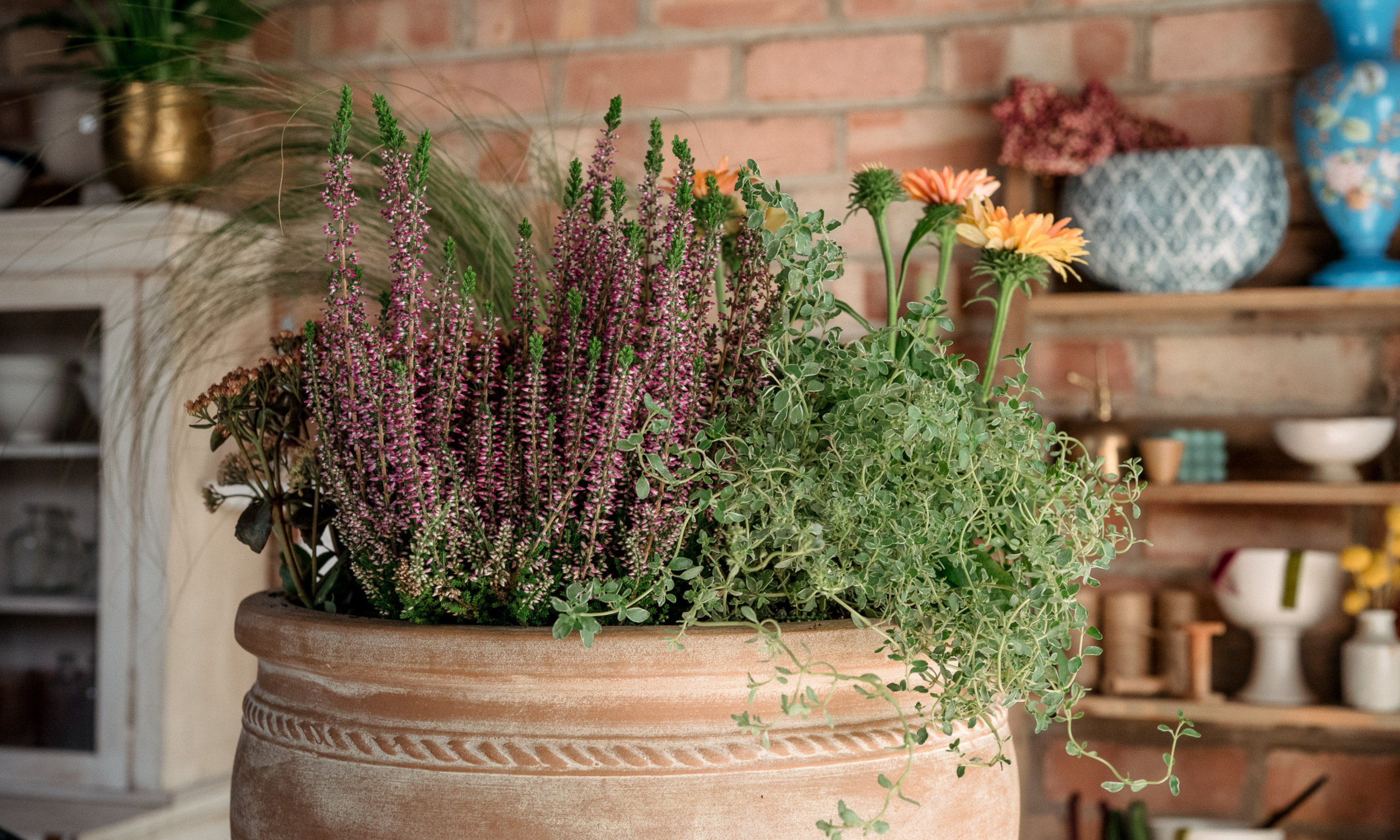 Fall container garden featuring warm-toned plants and varied textures