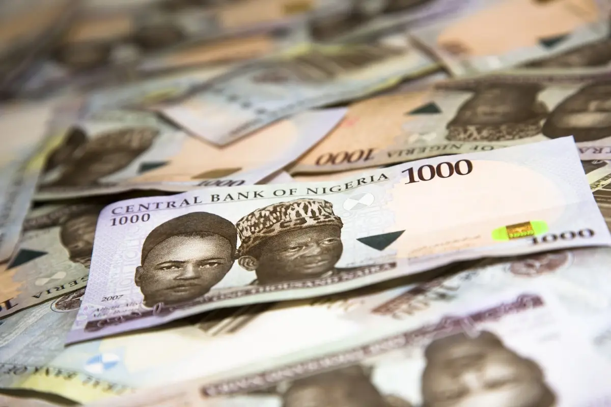 Nigerian Naira banknotes