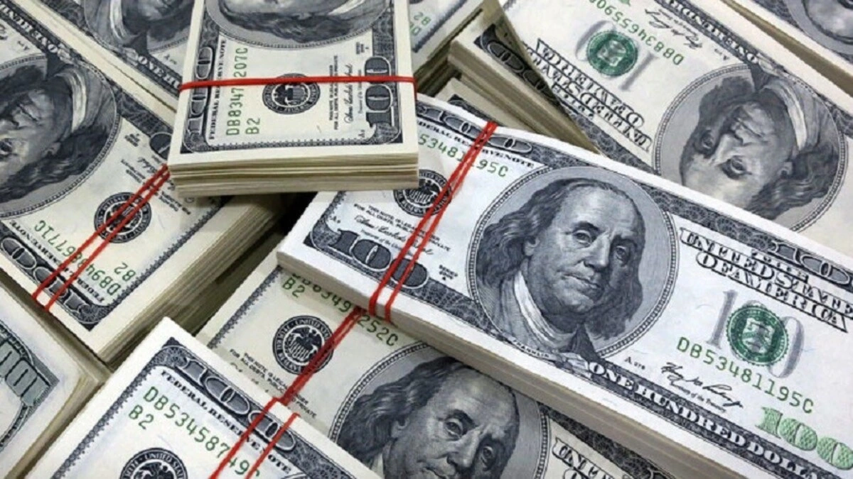 Portfolio Inflows