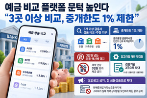 온라인 예금 중개 서비스 제도화