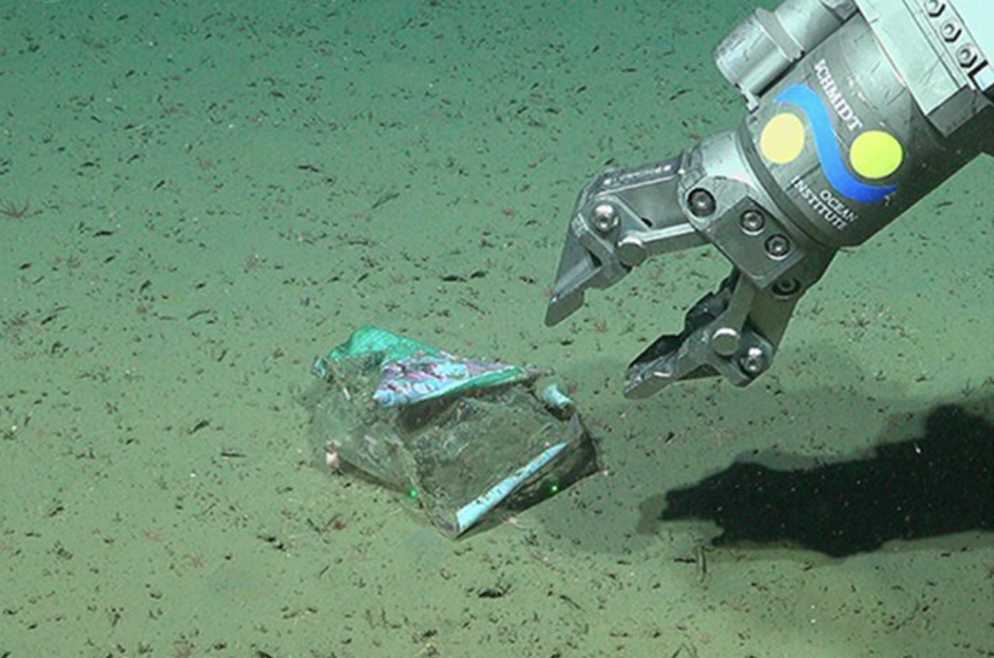 Evidence of plastic debris photographed in the Mar del Plata Submarine Canyon
