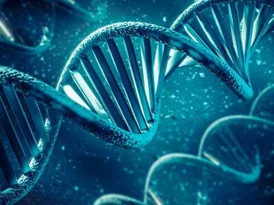 Graphic depicting CRISPR gene-editing market growth projections