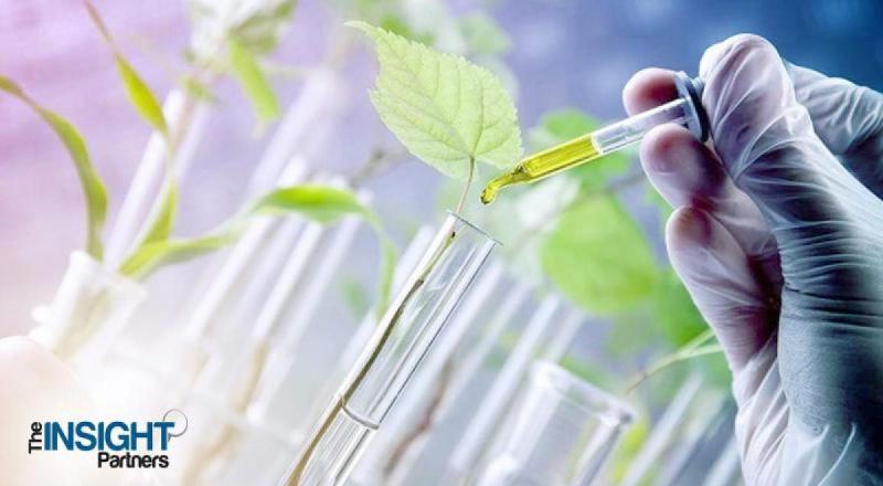 Pesticide Market Innovation and Growth Outlook