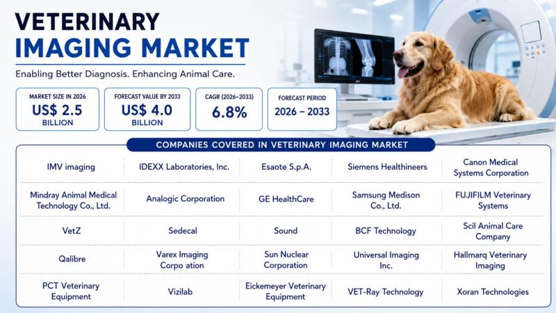 Veterinary imaging technology enhancing diagnostic capabilities in companion animal care
