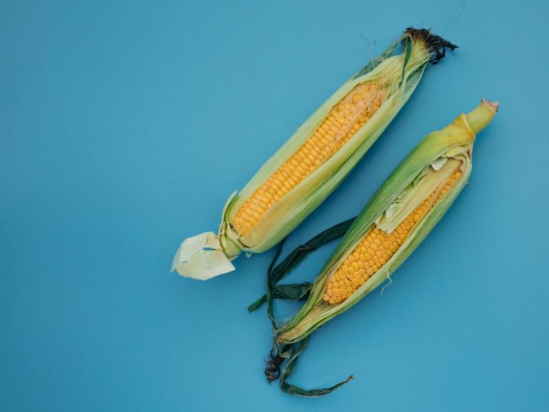 Corn price tracker graphic