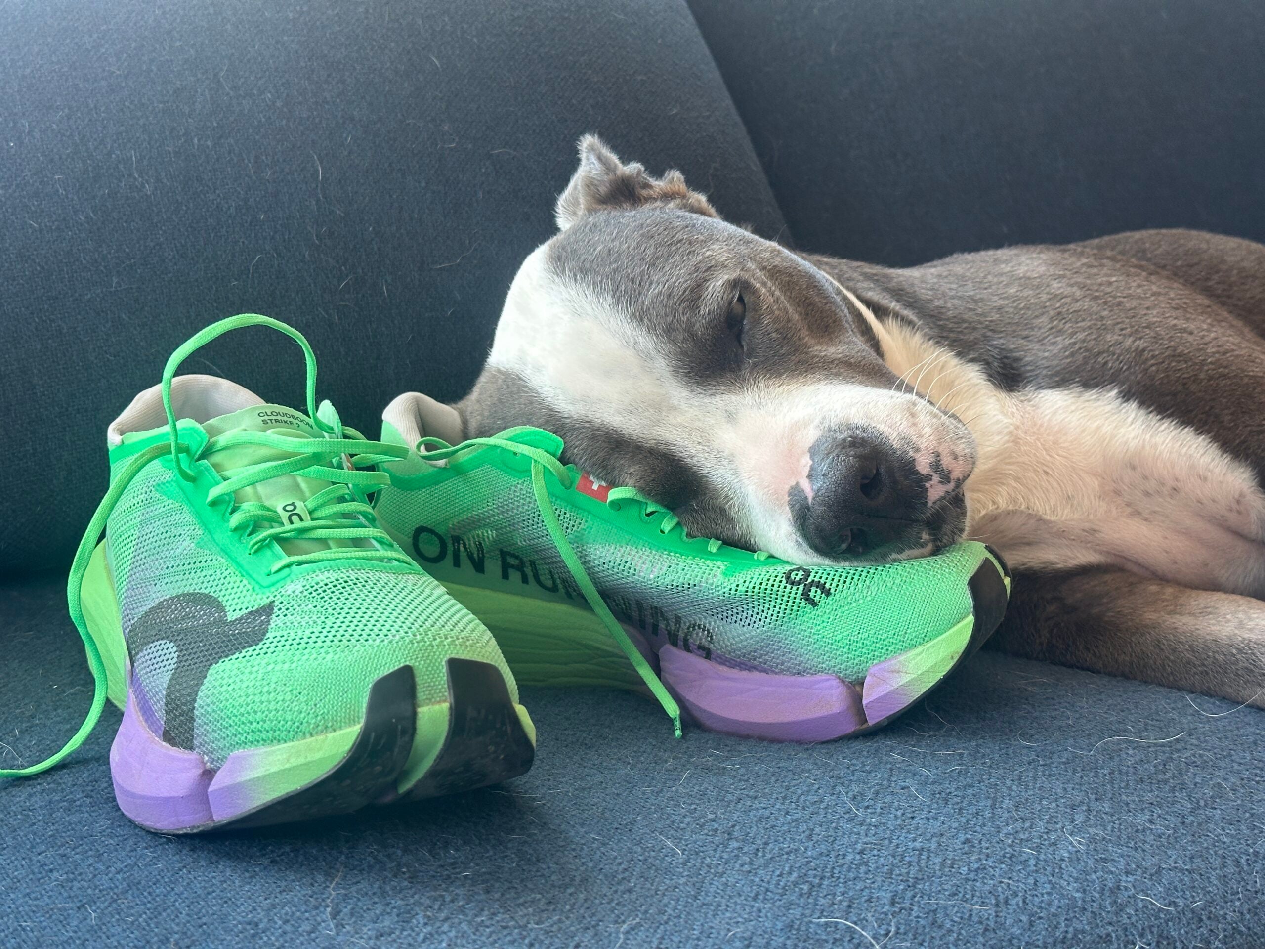 Source image