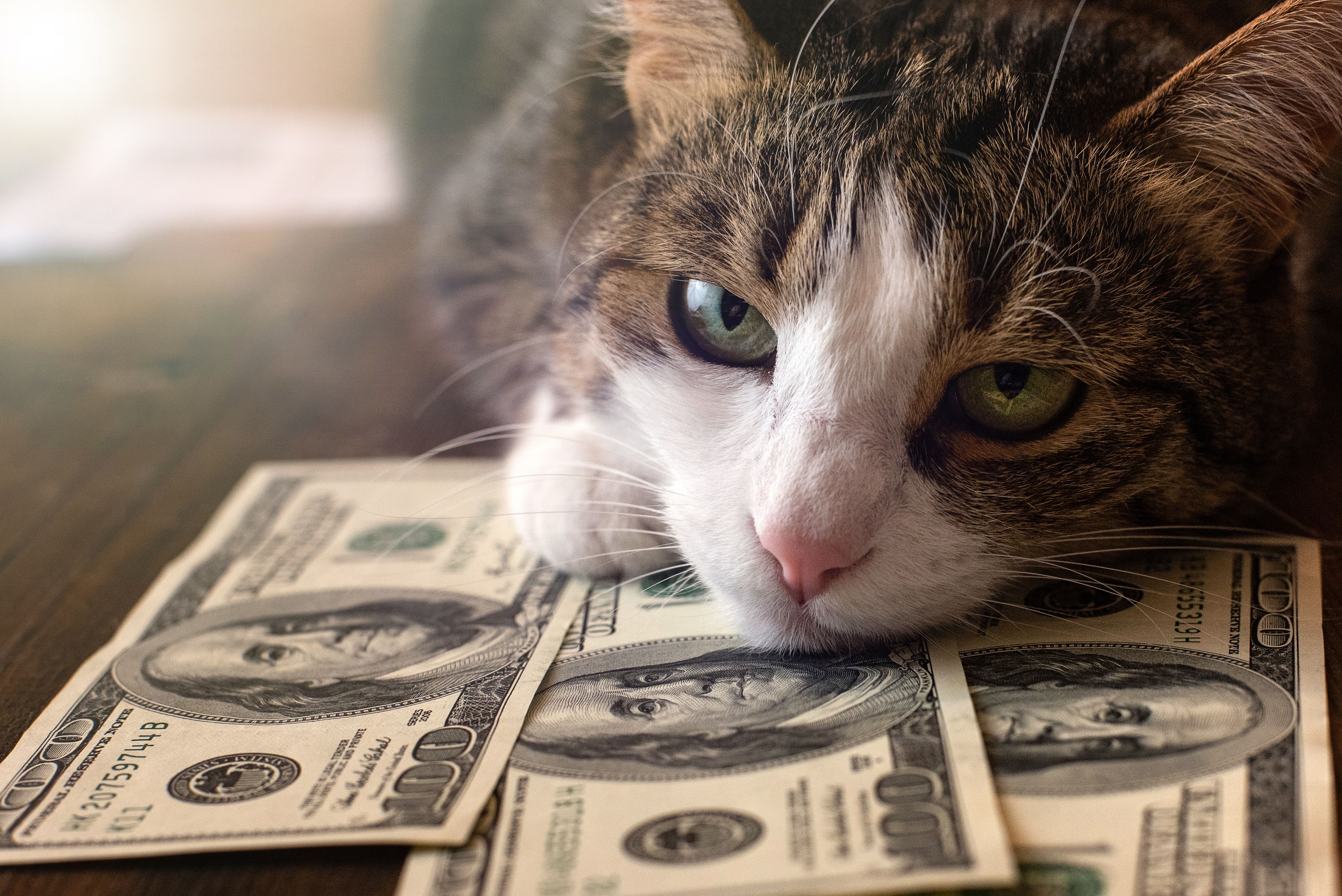 Veterinary Care Cost Survey