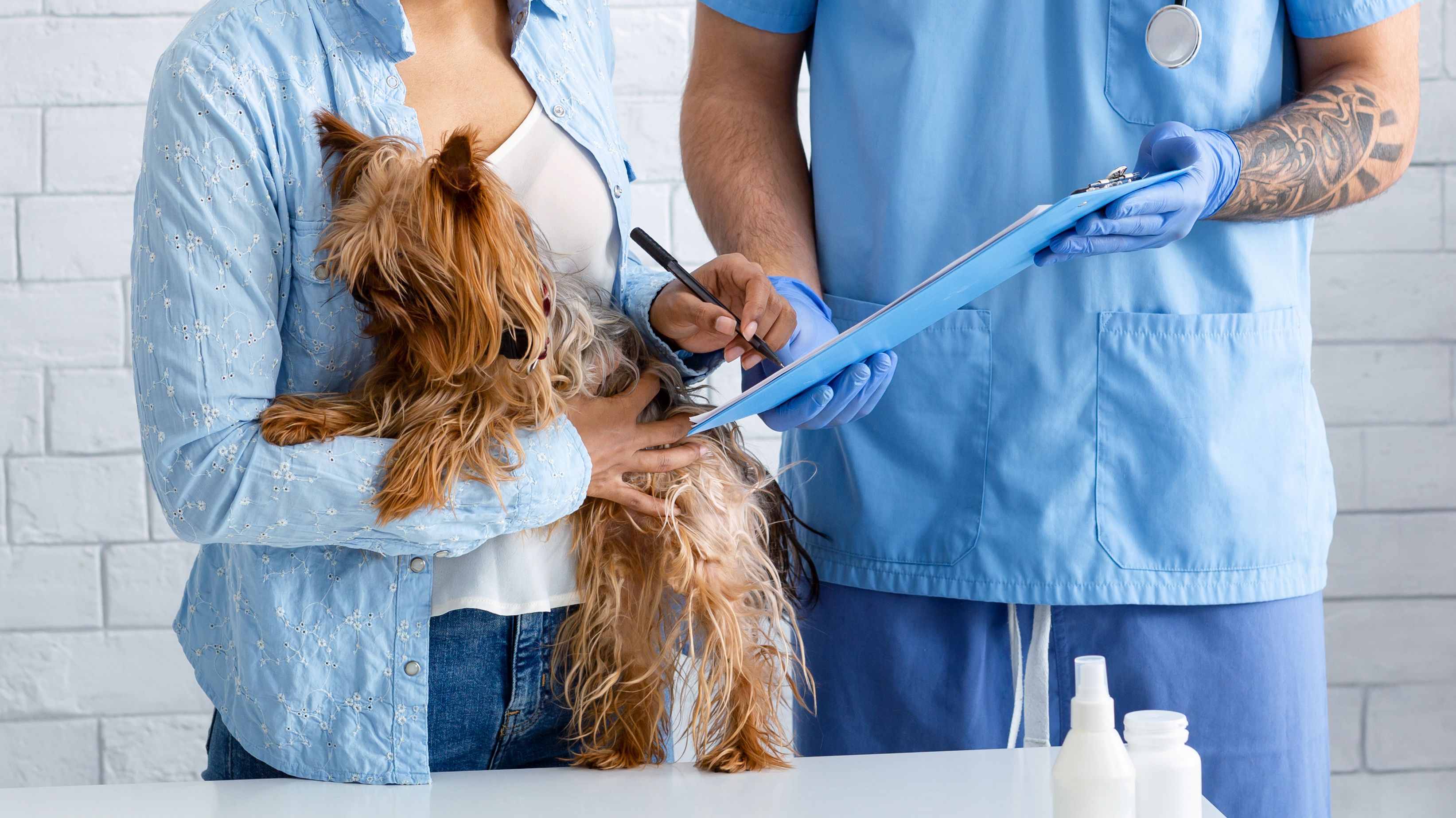 Veterinary professionals surveyed in the new AAHA/Pawlicy Advisor State of the Industry report